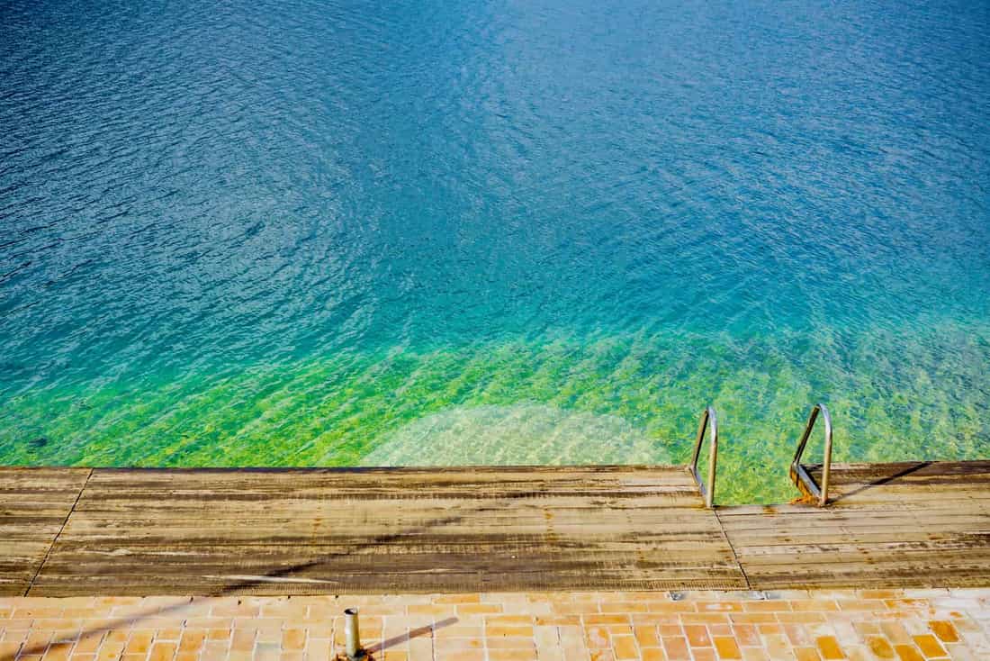 Aerial shot of a clear blue waterfront with wooden steps leading into the water